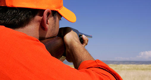 SOUTH TEXAS DOVE HUNTING SAFETY